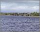 Railway Bridge am Lough Tap