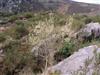 Tour 4 - Gap of Dunloe/Ladies View/Moll`s Gap