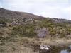 Tour 4 - Gap of Dunloe/Ladies View/Moll`s Gap